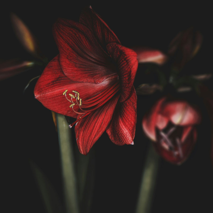 andrea-boudrias-TtoDZlTznkc-unsplash