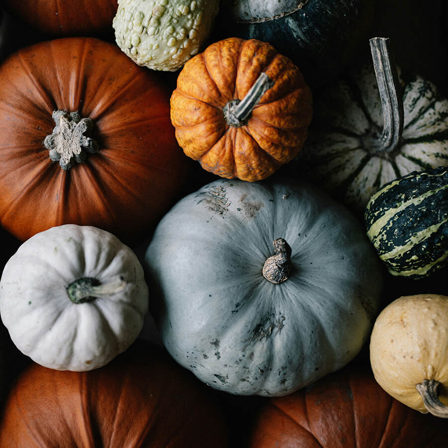 annie-spratt-mSuCFp8mo90-unsplash-2