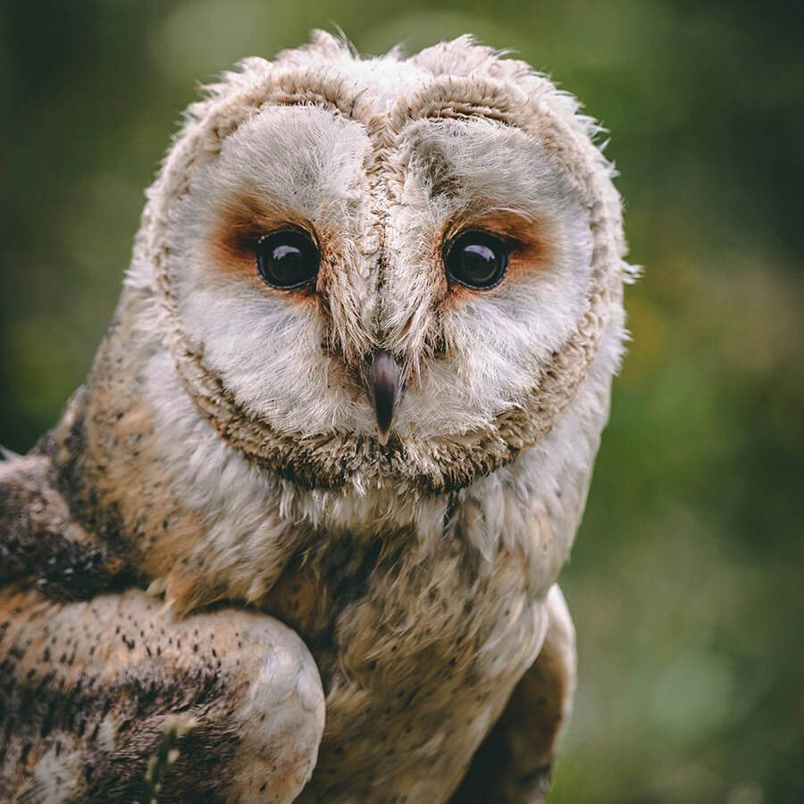 daniel-macura-E6xfioiJmms-unsplash-2
