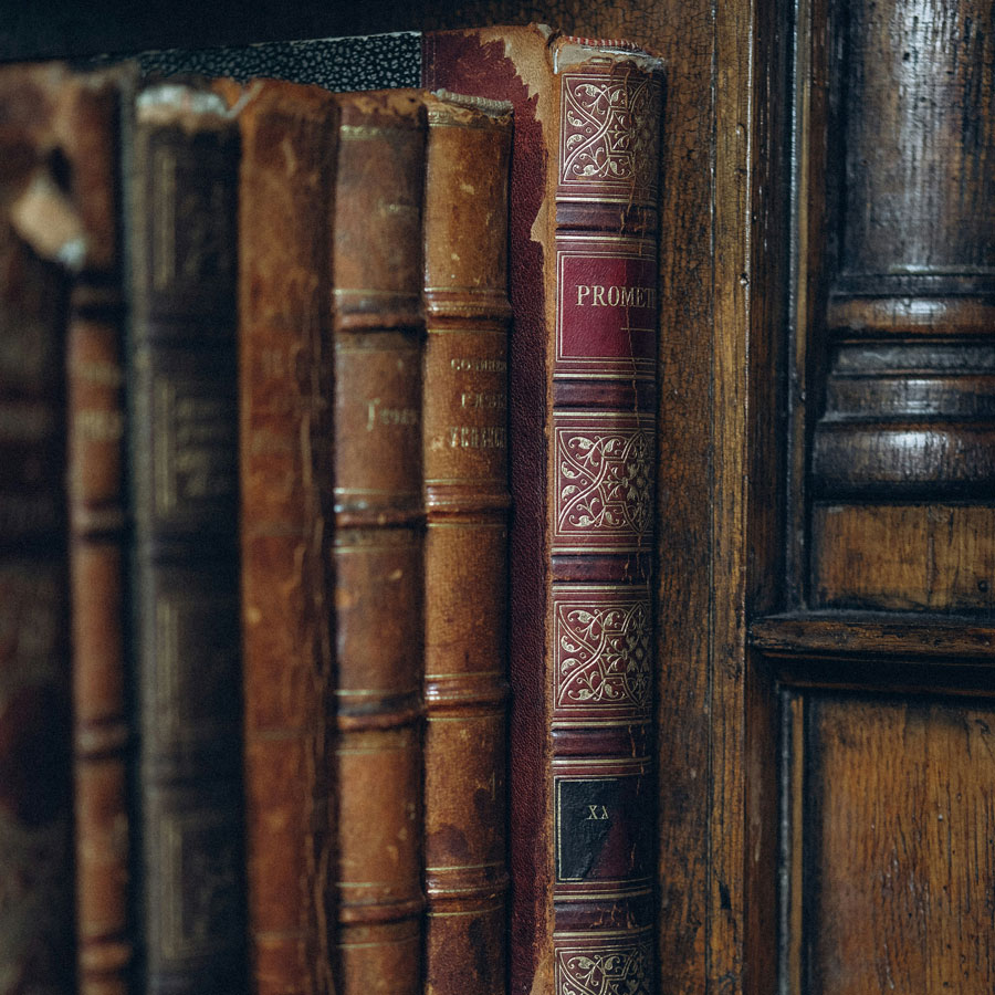 daria-nsUxcuhJDXY-unsplash
